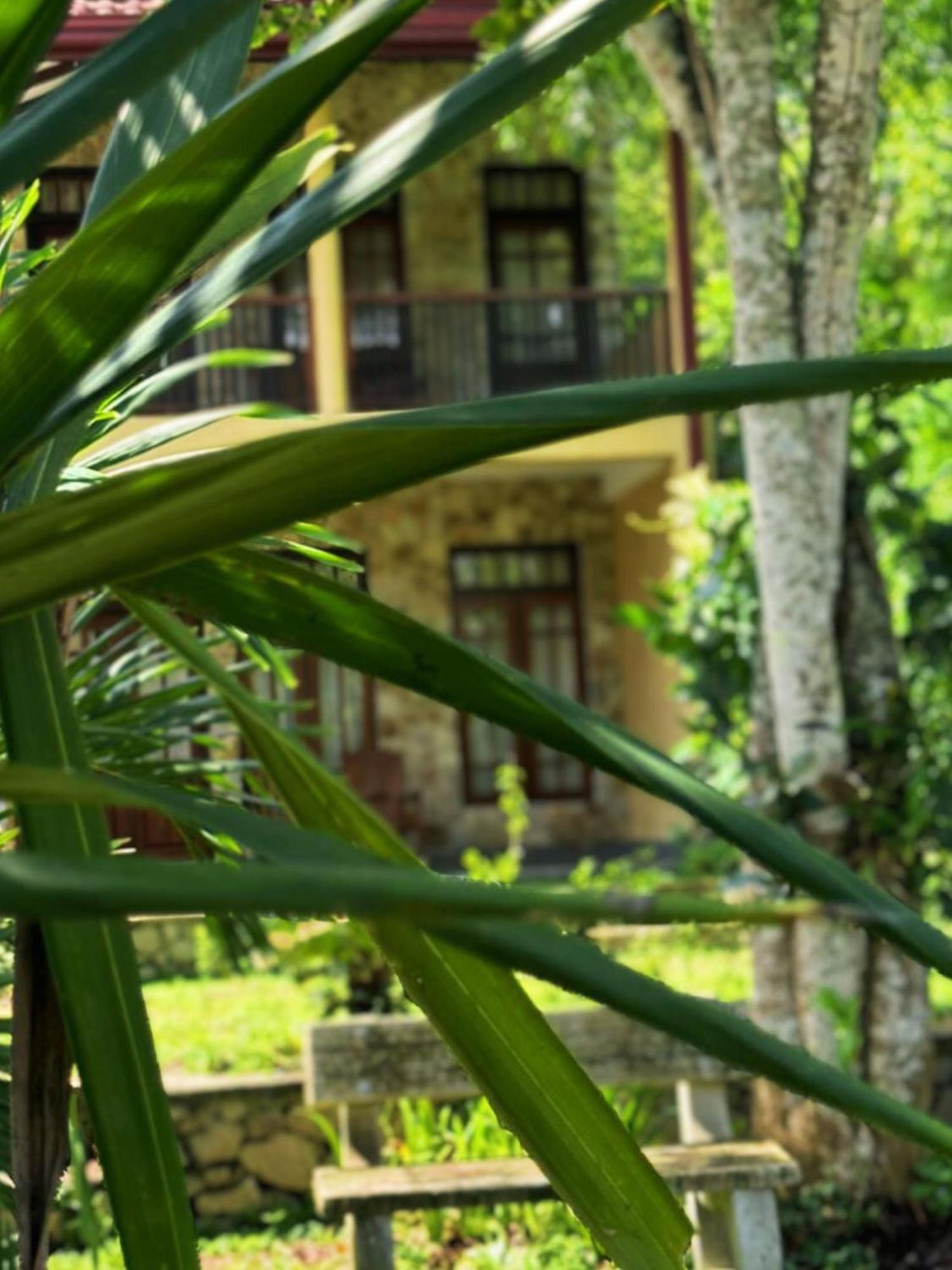Amour At Turtle Beach Tangalle Exterior photo