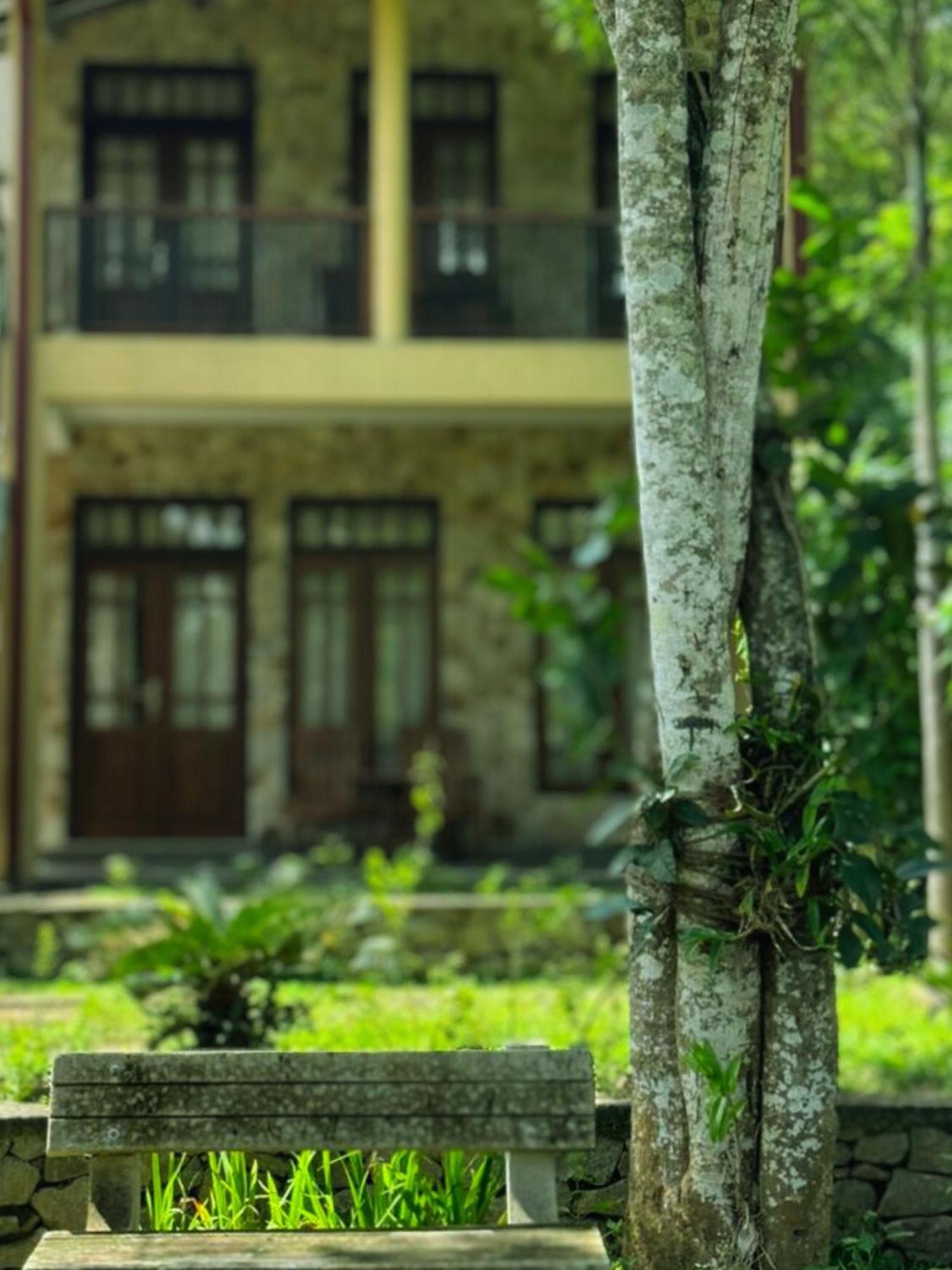Amour At Turtle Beach Tangalle Exterior photo
